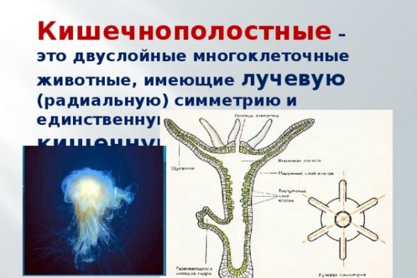 Кракен маркет только через тор скачать