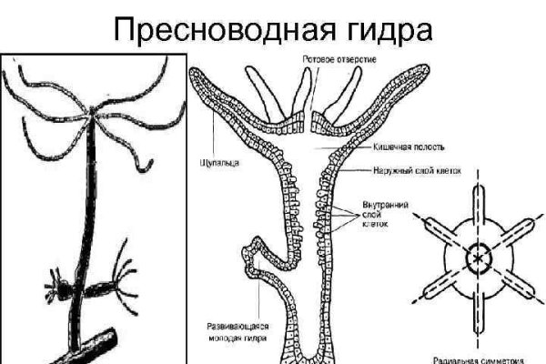 Кракен сайт 14