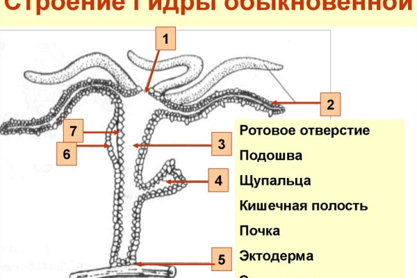 Кракен ссылка официальная в тор