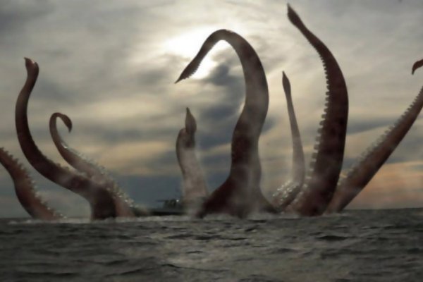 Www kraken 20at net